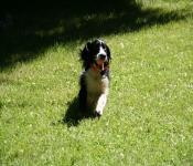 July4th2011 292